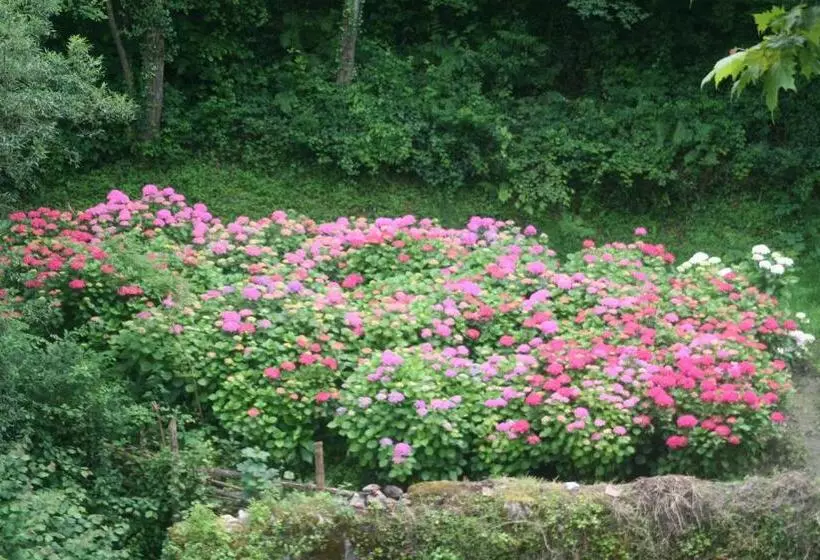 בית מלון כפרי Rural Bereau