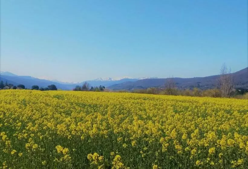 Parador De Santo Domingo De La Calzada