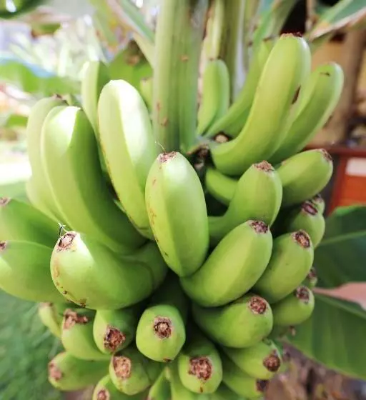 酒店 Bahia Principe Sunlight San Felipe