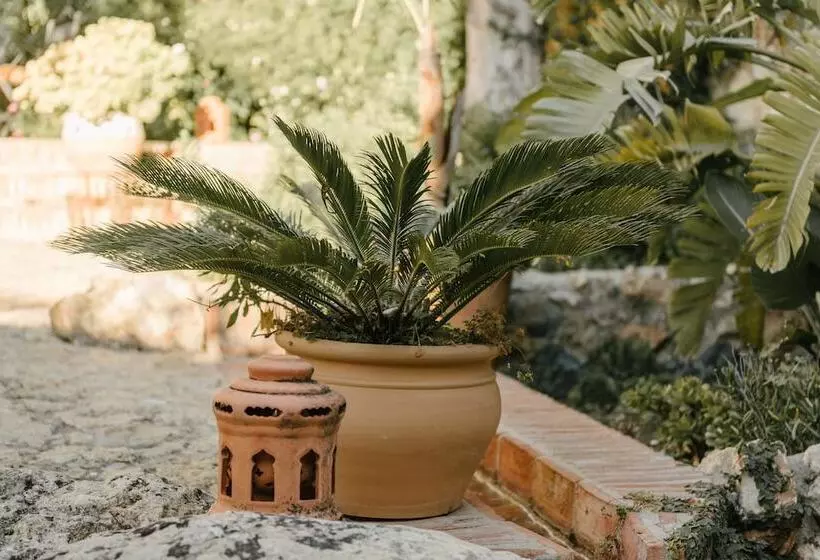 בית מלון כפרי Castillo De Monda