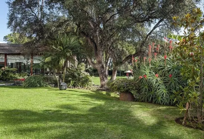 Отель Don Pepe Gran Melia