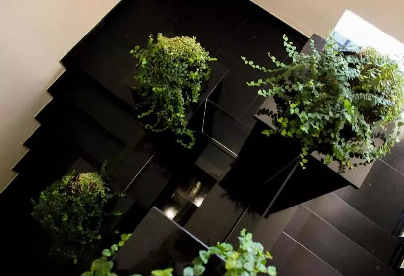 בית מלון כפרי Nacional