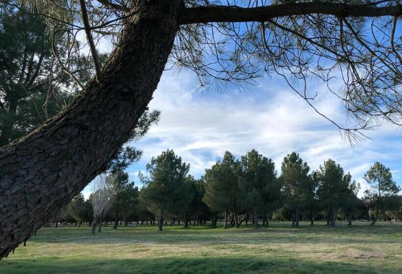 酒店 Torres Guijuelo