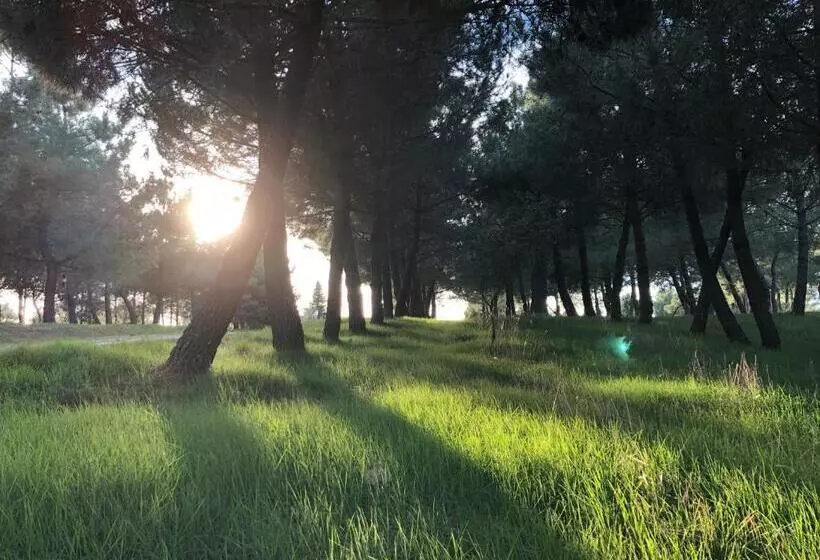 호텔 Torres Guijuelo