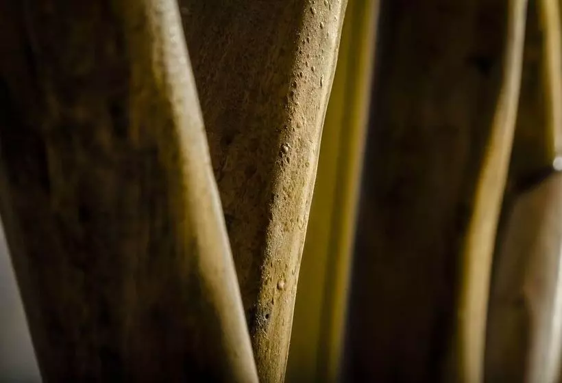 Exe Cunit Suites & Spa