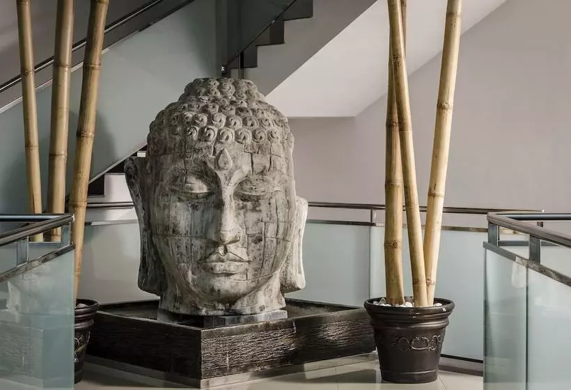 Exe Cunit Suites & Spa