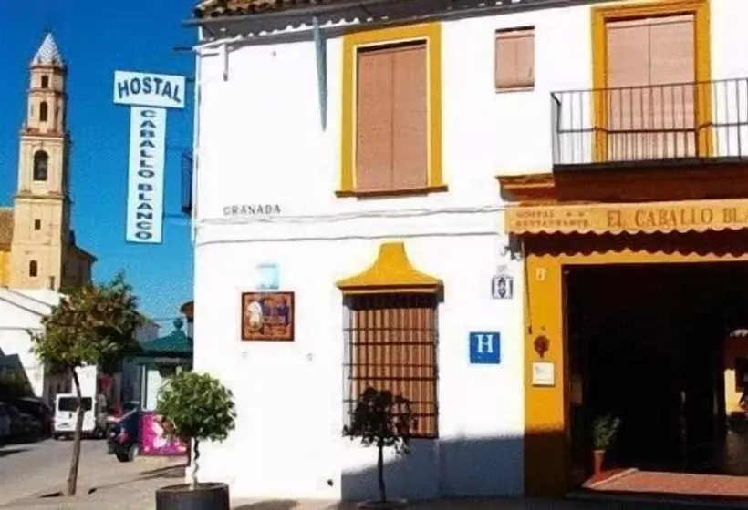 Hotel Hostal El Caballo Blanco