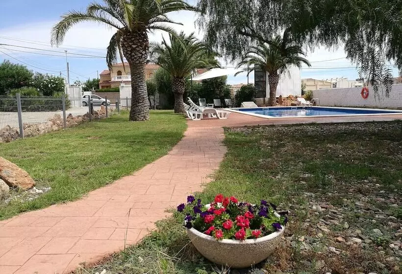 ホテル Plaza Miami   Sólo Adultos