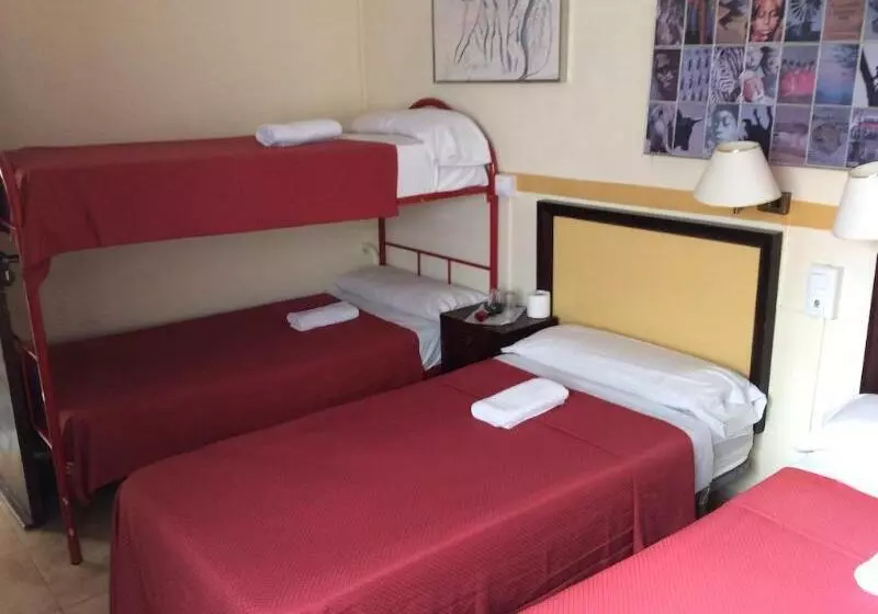 تختخواب و صبحانه Nuevo Suizo