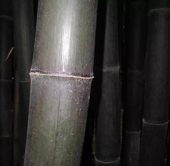 Balneario Hotel Dávila