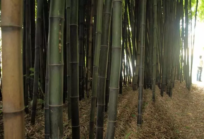 Balneario Hotel Dávila