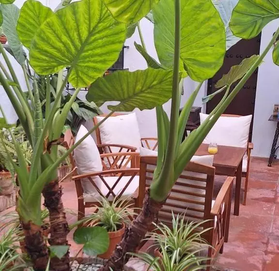 Hotel Hostal Gran Capitan