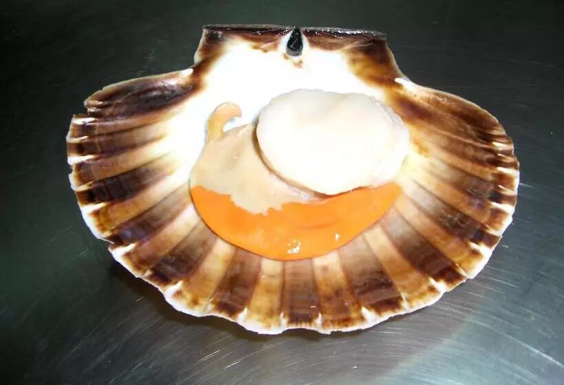 Отель Hostal Miryam