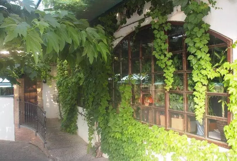 Отель Hostal Miryam