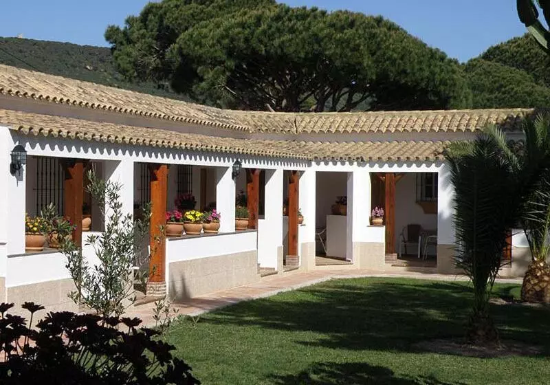 ホテル Hostal Las Acacias