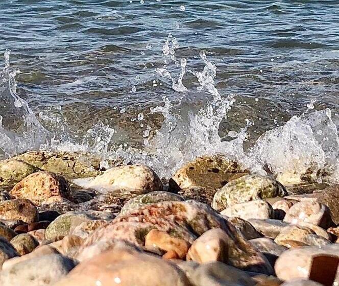 مسافرخانه Sol Port Soller