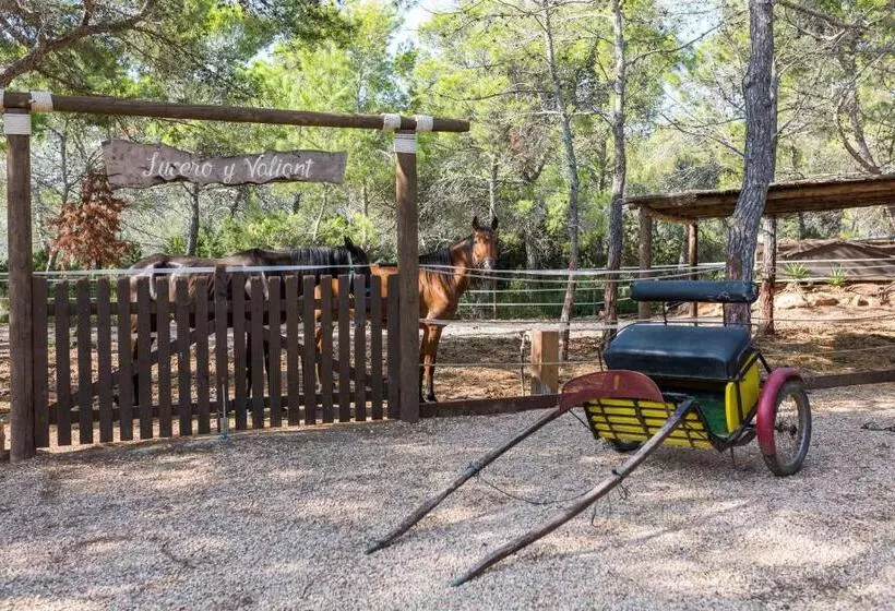 酒店 Hostal Cala Boix