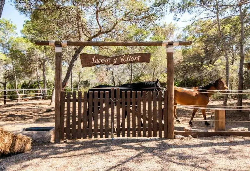 酒店 Hostal Cala Boix