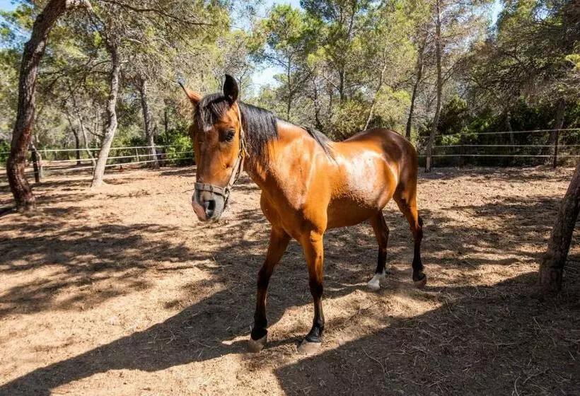 酒店 Hostal Cala Boix