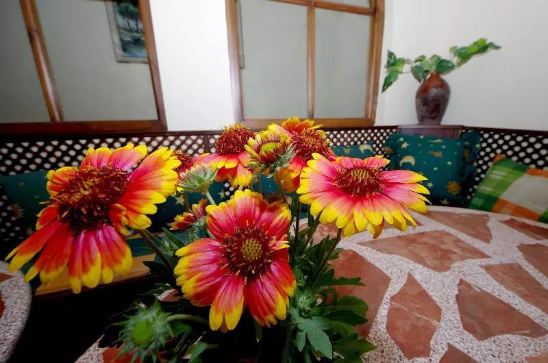 ホテル Hostal Azahara