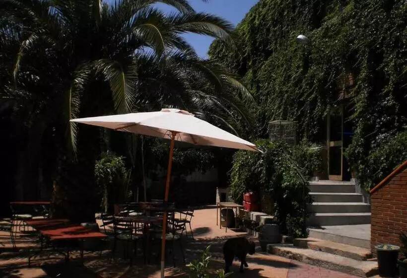 Hotel Hostal San José