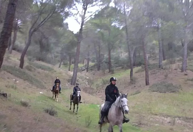 Hotel Hostal San José