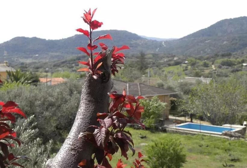 Hotel Hostal San José