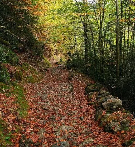 בית מלון כפרי Bellavista Ordesa