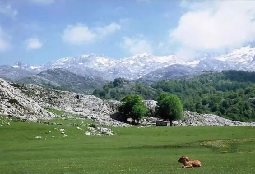 בית מלון כפרי Camangu