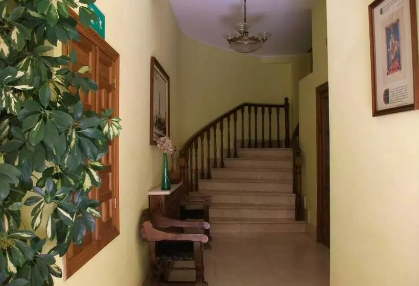 فندق Hostal Alfonso Vi