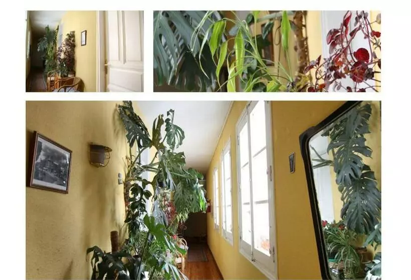 בית מלון כפרי Hostal Bayón