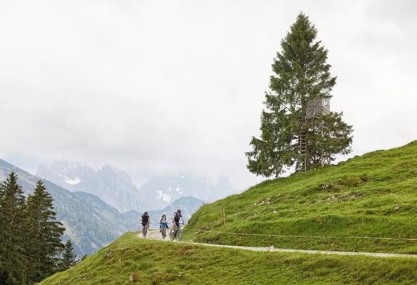 Отель Das Walchsee Aktivresort