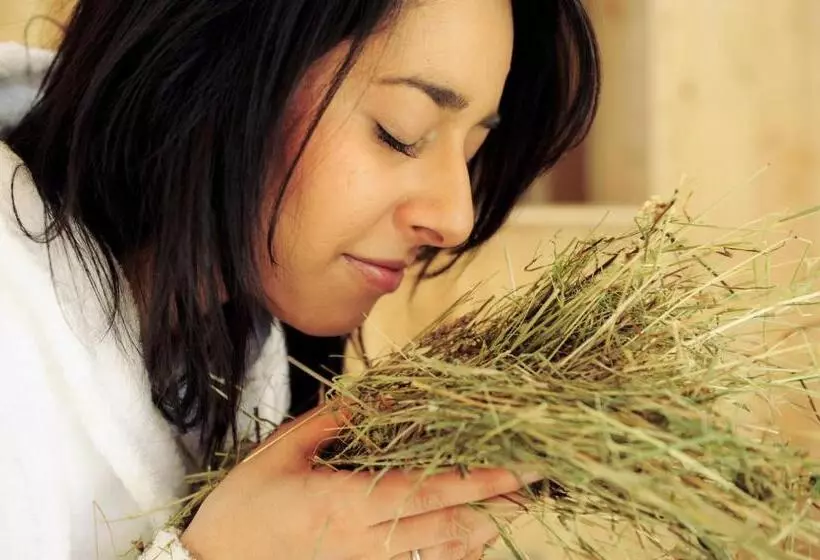 Der Stern   Nachhaltiges Wirtshaus Und Landhotel Seit 1509