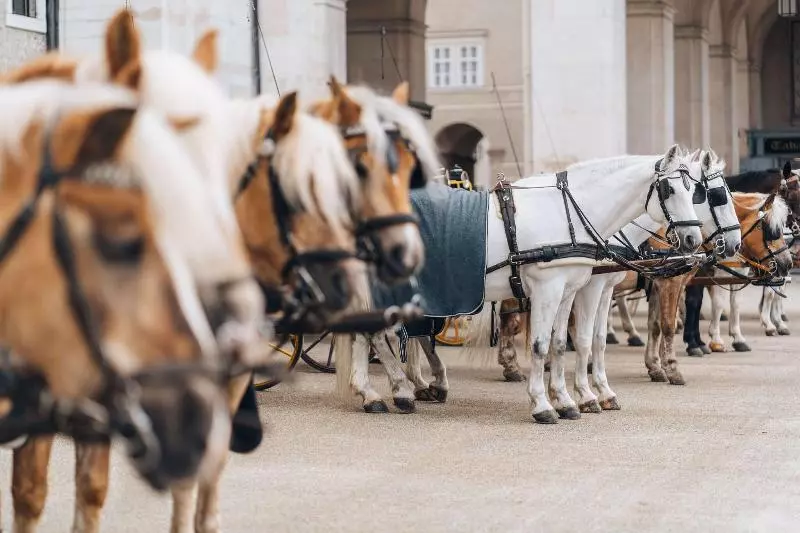 Goldener Hirsch, A Luxury Collection Hotel, Salzburg
