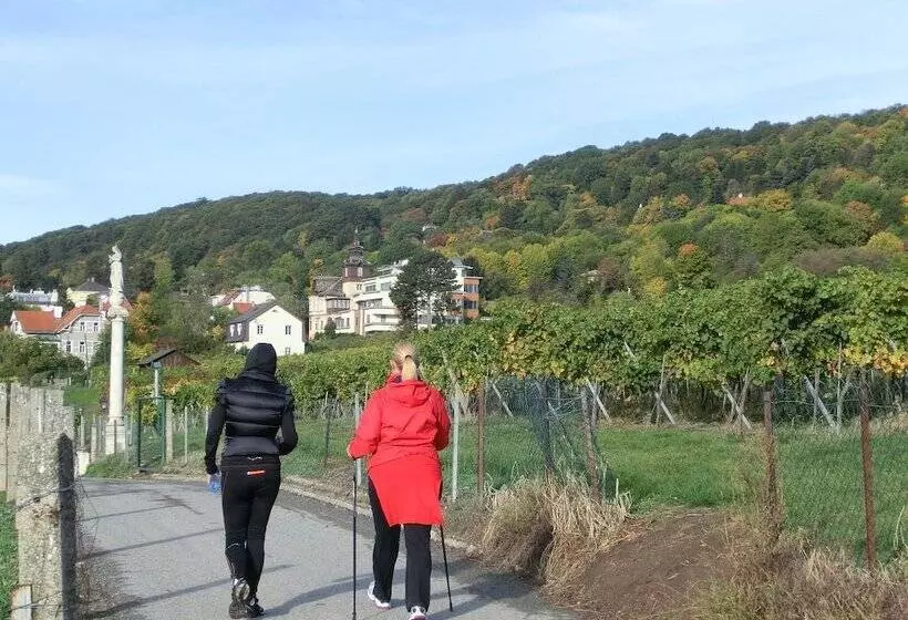 Hotel Schild