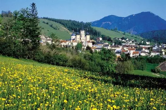 בית מלון כפרי Schwarzer Adler