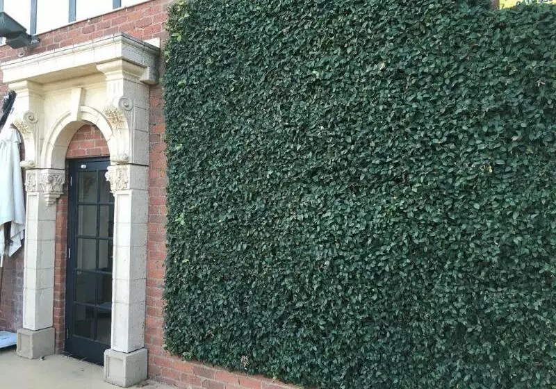 فندق على الطريق Albury Manor House