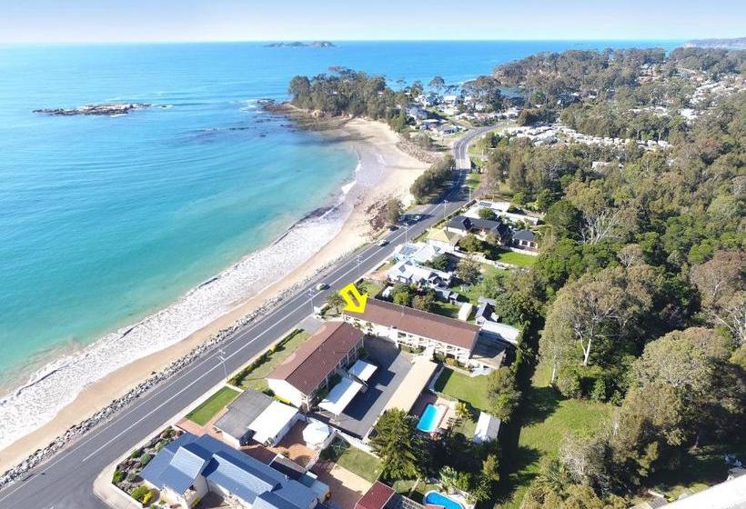 فندق على الطريق Edgewater Gardens Batemans Bay