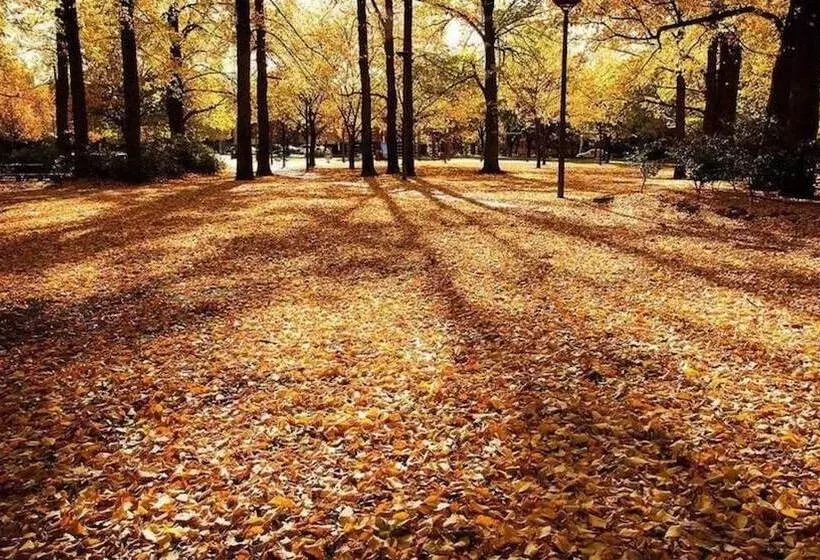 Hotel Crowne Plaza Canberra, An Ihg