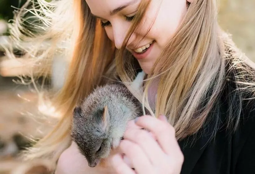 فندق Mount Lofty House & Estate Adelaide Hills