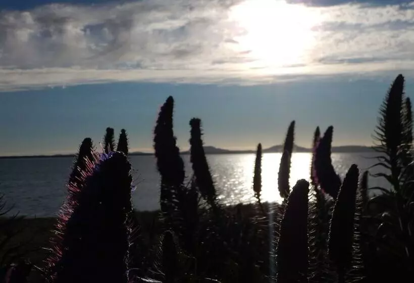 酒店 Swansea Motor Inn Tasmania