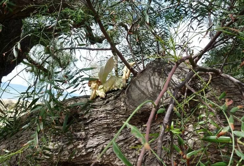 酒店 Swansea Motor Inn Tasmania