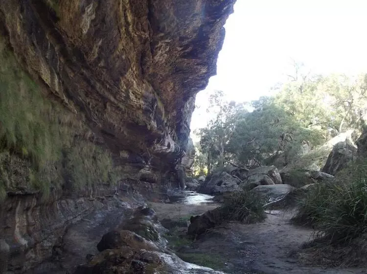 בית מלון כפרי Winning Post Motor Inn