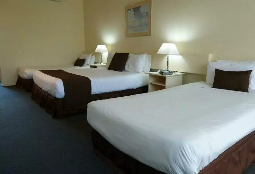 Мотель Frankston International