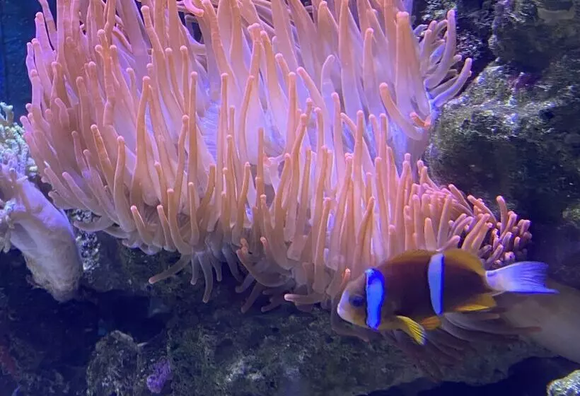 Reef Gateway Apartments