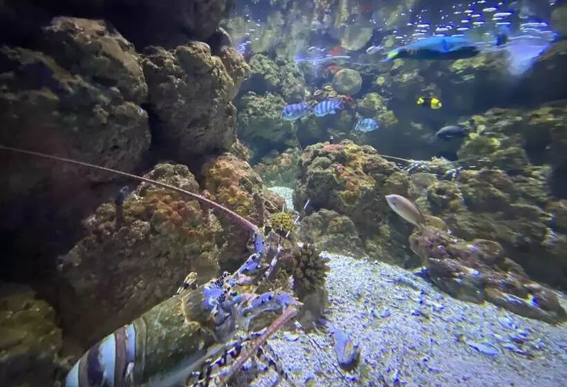 Reef Gateway Apartments