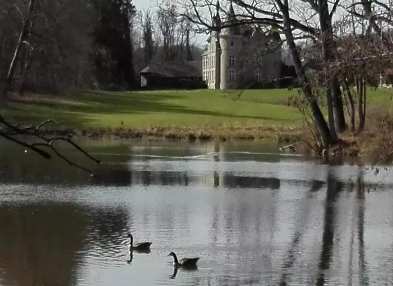 Отель Chateau D Hassonville