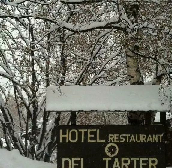 هتل Del Tarter