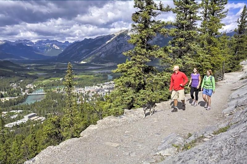 Douglas Fir Resort & Chalets