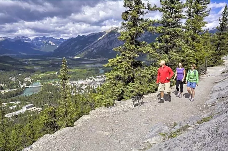 Douglas Fir Resort & Chalets